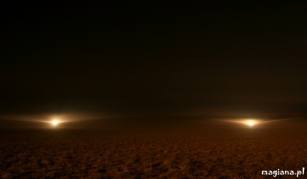 światełka we mgle
